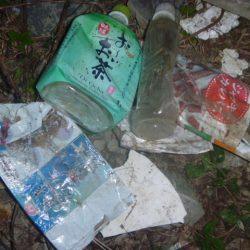 清掃活動：11月のバス釣り