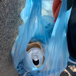 清掃活動：エソ祭り！