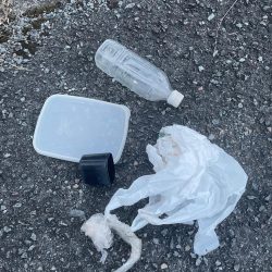 清掃活動：ダウスイで寄せてからの