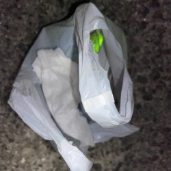 清掃活動：ウキ釣りでのタチウオ