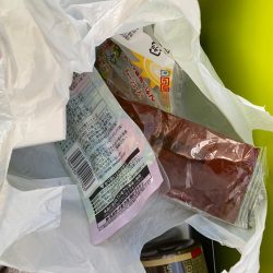 清掃活動：アオリイカキロ足らず