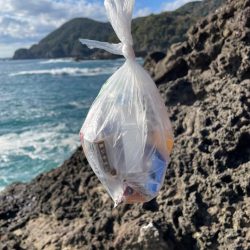 清掃活動：新磯調査