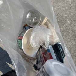 清掃活動：堤防グレ釣り(*^^*)