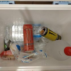 清掃活動：11月のライトジギング（2/2）…