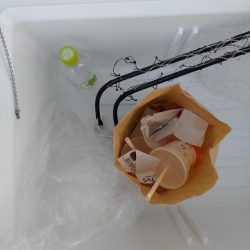 清掃活動：ショアジギングでサワラ！