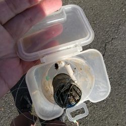 清掃活動：カワハギ釣行