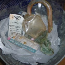 清掃活動：秋のブラックバス