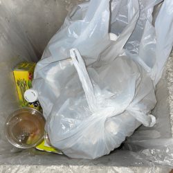 清掃活動：ライトゲーム