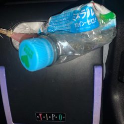 清掃活動:やっぱりエギング最高!