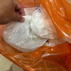 清掃活動：タイラバでまさかの