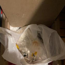 清掃活動：船カワハギ