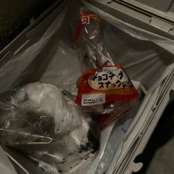 清掃活動：今期はラストエギング