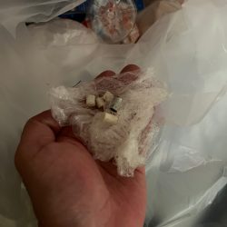 清掃活動：ワダツミの神さんの恵みに感謝&#…