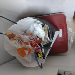 清掃活動：11月のライトジギング（1/2）…