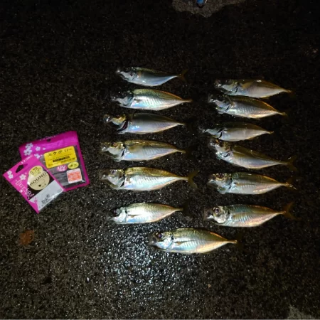 マイブーム再来！ナイトライトゲーム