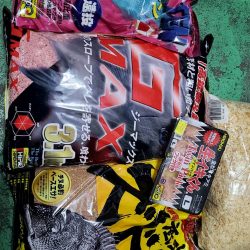 和歌山大引の磯でフカセ釣り