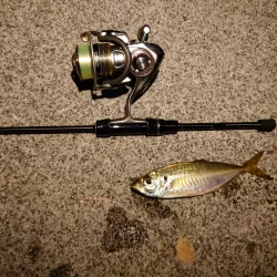 マイブーム再来！ナイトライトゲーム