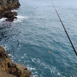 和歌山大引の磯でフカセ釣り