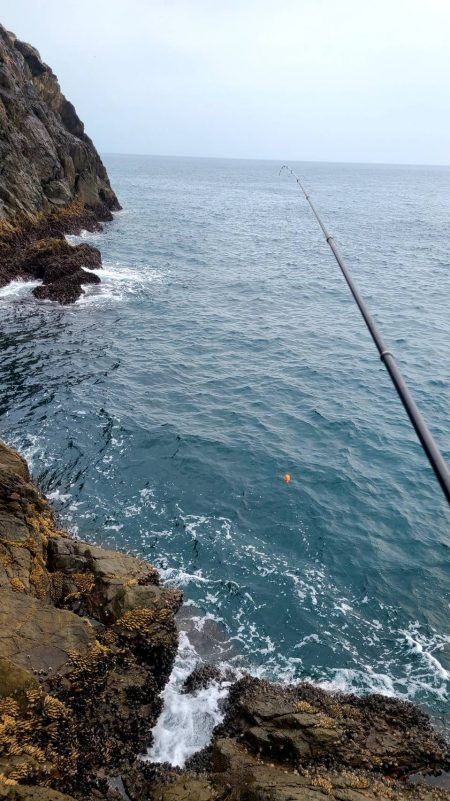 和歌山大引の磯でフカセ釣り