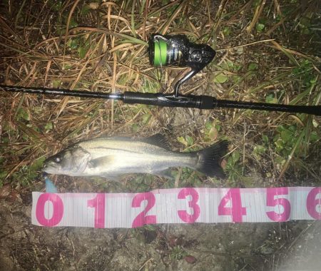 ががっときました