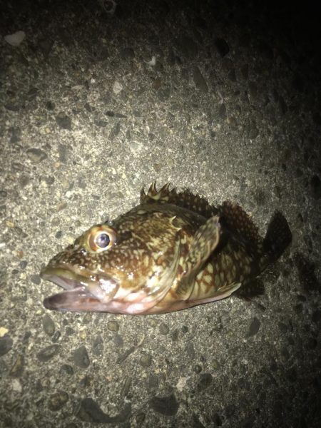 一誠　ハネエビロッド2 鱗付け完了