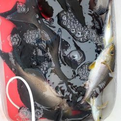 DAIWA マスターズブロック大会