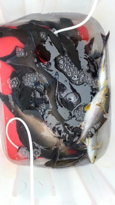 DAIWA マスターズブロック大会