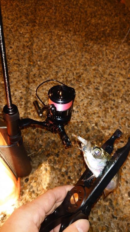 毎回同じ様にはならない