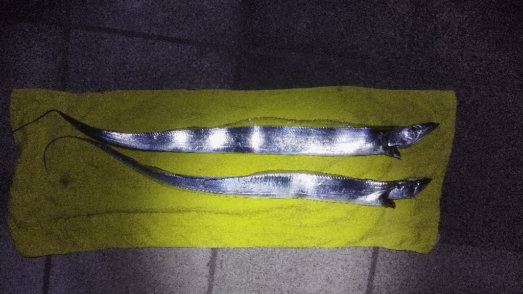 由々しきゴミ問題