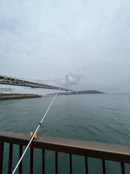 カレイ不在!!フグとヒトデ出勤中