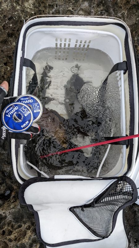 サンラインカップ磯 2022 in 串本大…