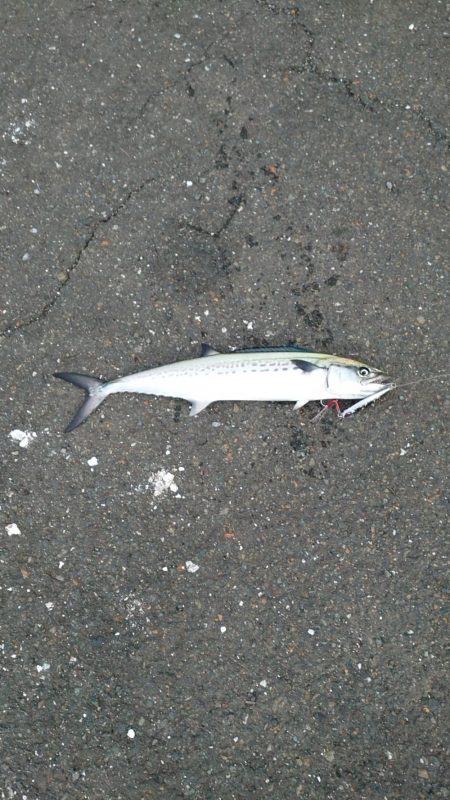 もう少し近ければ…