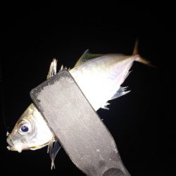 無風から一転…