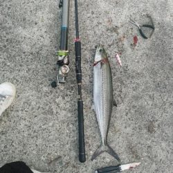 今シーズン最終戦