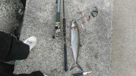 今シーズン最終戦