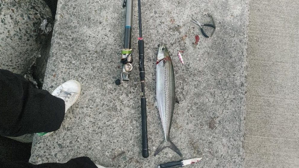 今シーズン最終戦