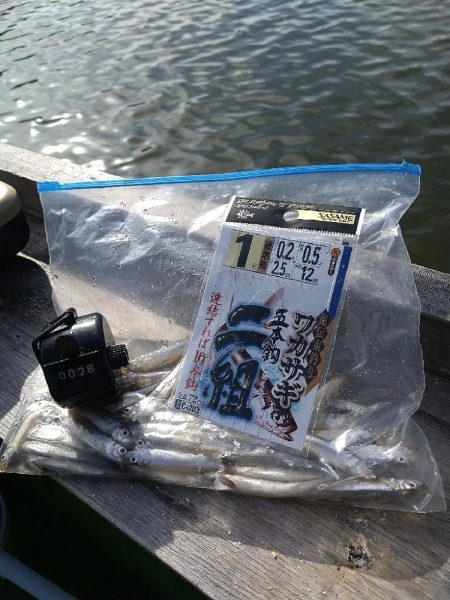 ワカサギ釣り