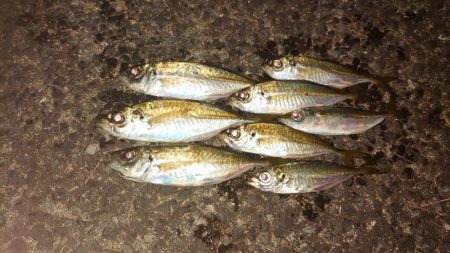 釣り納めの大失態