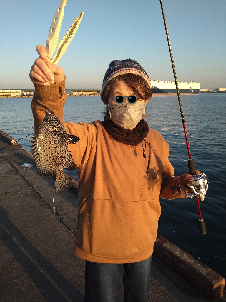 新しい魚種追加