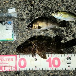 クリスマスイブナイトゲーム