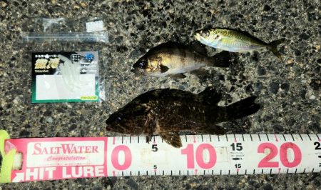 クリスマスイブナイトゲーム