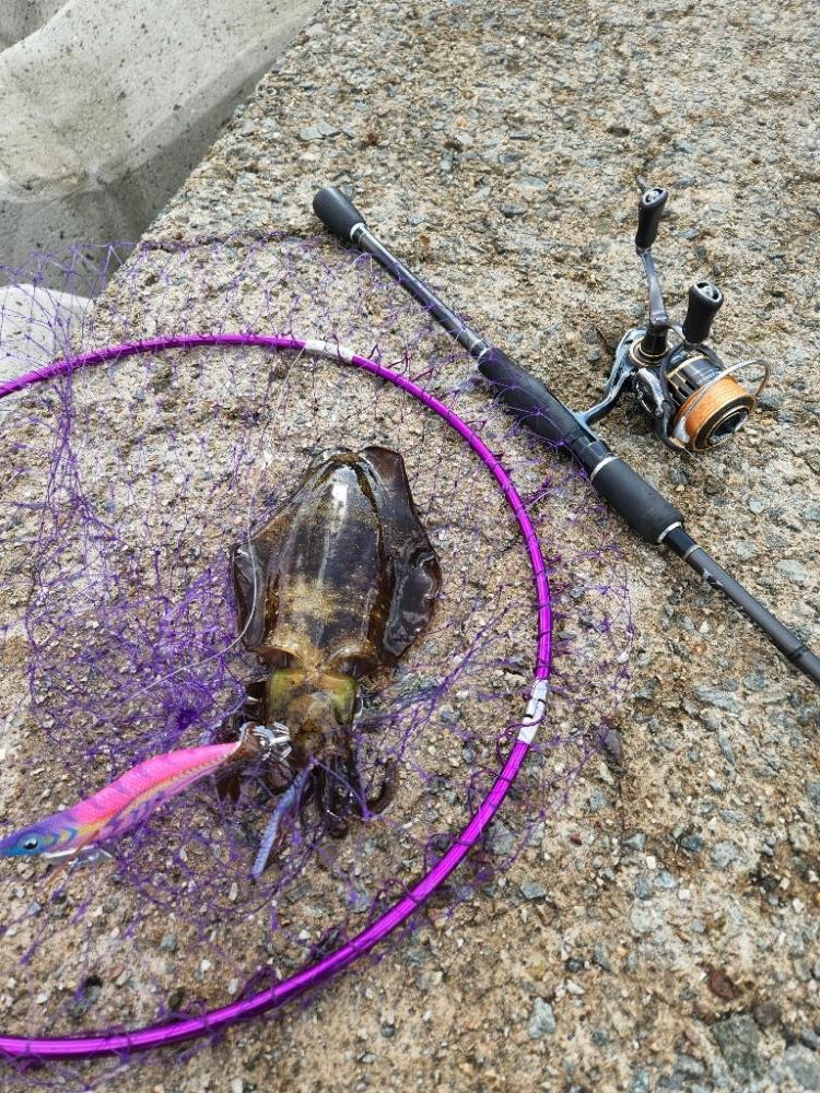 哀しみ本線日本海