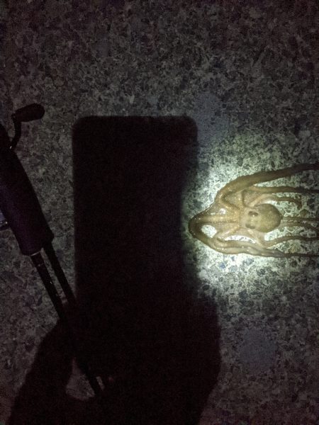 🐙ミニモニタコちゃん&#x…