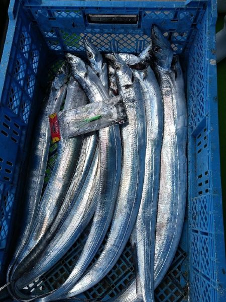 タチウオ狙い☆タチウオテンヤとǳ…