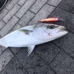 気持ちの良い1匹