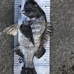 イチノ兄弟（兄）釣果！