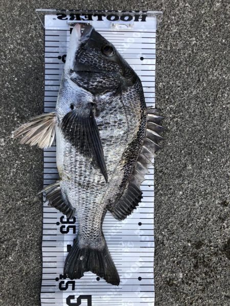 イチノ兄弟（兄）釣果！