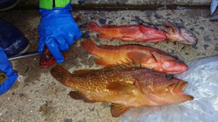 対馬船スロージギング