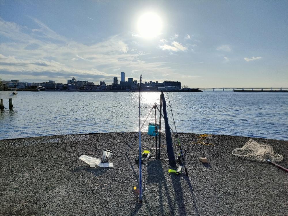 サビキのアジが入れ食い