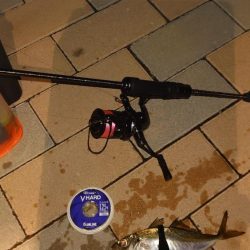 気合い入れて行ってみた